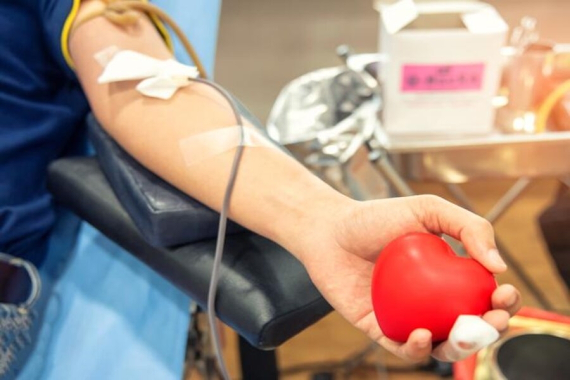 Giornata mondiale del donatore, Colacicco: ''Donare il sangue è dovere civico''